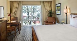 Room Room